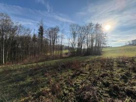 building ground  Windischgarsten For Sale Austria