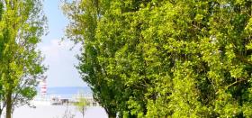 Detached house For Sale in Podersdorf am See, Austria Detached house For Sale in Podersdorf am See, Austria