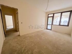 扁平 巴尔奇克  保加利亚