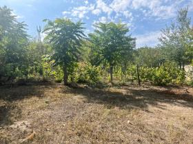 المنزل Trŭstenik بلغاريا