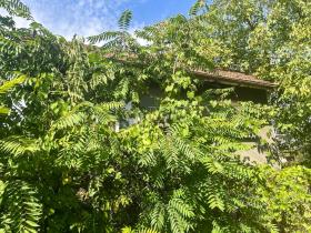 المنزل Trŭstenik بلغاريا