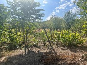 المنزل Trŭstenik بلغاريا