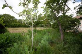 Haus Baltschik zu kaufen Bulgarien