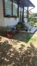 House Levski for sale Bulgaria