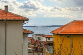 扁平 圣弗拉斯  保加利亚