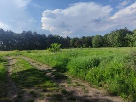 Proprietà terreni / forestale V. Gurkovo Vendita Bulgaria