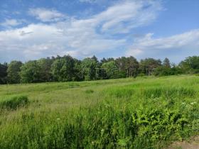 Proprietà terreni / forestale V. Gurkovo Vendita Bulgaria