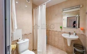 扁平 圣弗拉斯  保加利亚