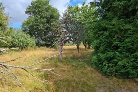 Casa Paimpont Venda França