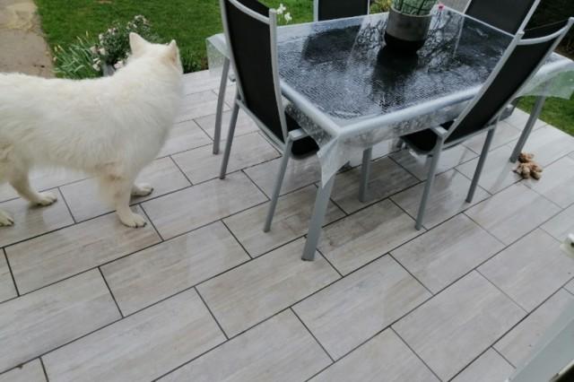 Casa Forges-de-Lanouée Leasing;Лизинг França