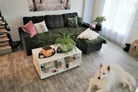 Haus Forges-de-Lanouée Leasing Frankreich