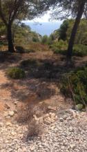 Grundstücke zu verkaufen in Cala Pi David Muñoz, Spanien