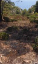 Οικόπεδα Cala Pi David Muñoz Προς πώληση Ισπανία