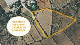 Parcelas à venda em Ses Salines, Espanha