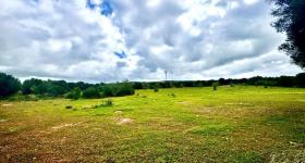 Plots / Land  Ses Salines for sale Spain