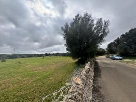 Plots / Land  Ses Salines for sale Spain