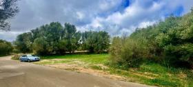 Plots / Land  Ses Salines for sale Spain