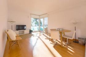 扁平 卡尔维亚  西班牙