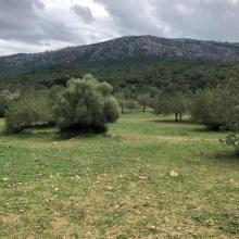 Villa for sale in Pollença-Cala Sant Vicenç, Spain Villa for sale in Pollença-Cala Sant Vicenç, Spain