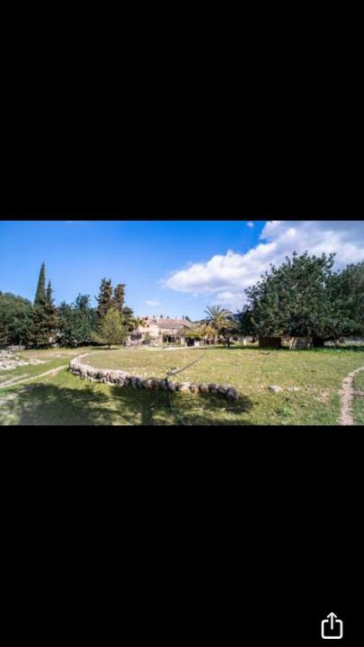 别墅 波伦萨  西班牙