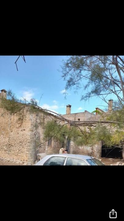 别墅 波伦萨  西班牙