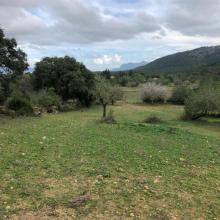 Вилла Польенса Продажа Испания