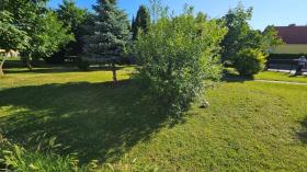 terreno de construcción Schwadorf Subasta / Foreclosure Austria