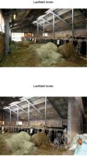 Farm / Ranch Unter-Malta Foreclosure Auction Austria