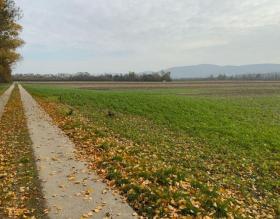 الأراضي الصالحة للزراعة حبس الرهن في Kleinstaasdorf-Katastralgemeinde Staasdorf, النمسا الأراضي الصالحة للزراعة حبس الرهن في Kleinstaasdorf-Katastralgemeinde Staasdorf, النمسا