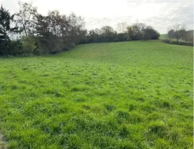 otlak Hacizler 'de Kleinstaasdorf-Katastralgemeinde Staasdorf, Avusturya