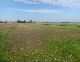 الأراضي الصالحة للزراعة حبس الرهن في Kleinstaasdorf-Katastralgemeinde Staasdorf, النمسا الأراضي الصالحة للزراعة حبس الرهن في Kleinstaasdorf-Katastralgemeinde Staasdorf, النمسا