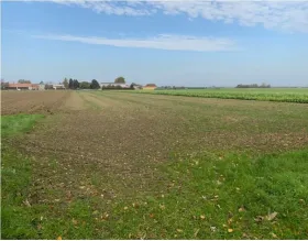 Ackerfläche Zwangsversteigerungen in Kleinstaasdorf-Katastralgemeinde Staasdorf, Österreich