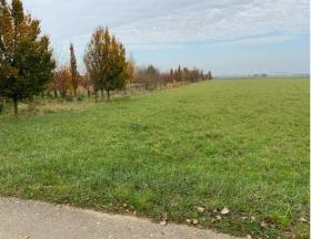 Terra arável Foreclosures em Kleinstaasdorf-Katastralgemeinde Staasdorf, Áustria Terra arável Foreclosures em Kleinstaasdorf-Katastralgemeinde Staasdorf, Áustria