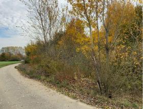 landw. Fläche Zwangsversteigerungen in Kleinstaasdorf-Katastralgemeinde Staasdorf, Österreich landw. Fläche Zwangsversteigerungen in Kleinstaasdorf-Katastralgemeinde Staasdorf, Österreich
