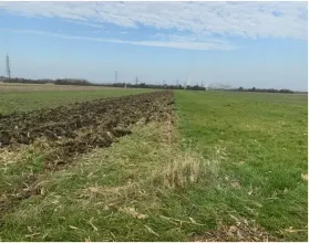 ekilebilir arazi Hacizler 'de Kleinstaasdorf-Katastralgemeinde Staasdorf, Avusturya