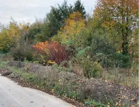 landw. Fläche Zwangsversteigerungen in Kleinstaasdorf-Katastralgemeinde Staasdorf, Österreich