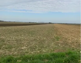 Arable land  Foreclosures in Chorherrn, Austria