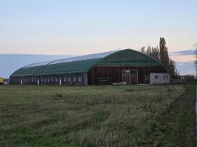 terra arabile Chorherrn Asta / preclusione Austria