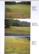 Green area Foreclosures in Rosegg, Austria Green area Foreclosures in Rosegg, Austria