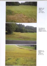 Área verde Foreclosures em Rosegg, Áustria Área verde Foreclosures em Rosegg, Áustria