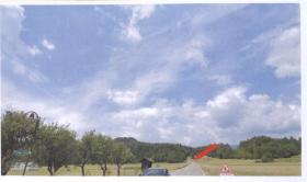 Prairie Rosegg Vente aux enchères Autriche