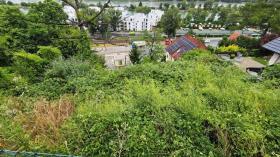 Baugrundstück Wien Versteigerung Österreich