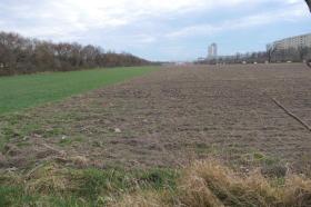 Grasland Woest Foreclosures Oostenrijk