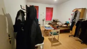 扁平 维也纳  奥地利