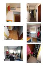 Lapos Buja Aukció / Kizárás Ausztria