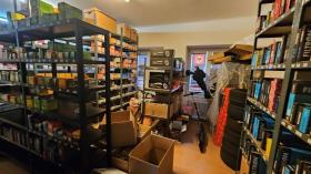 扁平 维也纳  奥地利