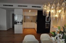 扁平 维也纳 奥地利