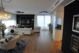 扁平 维也纳 奥地利