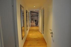 扁平 维也纳 奥地利