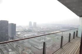 扁平 维也纳 奥地利